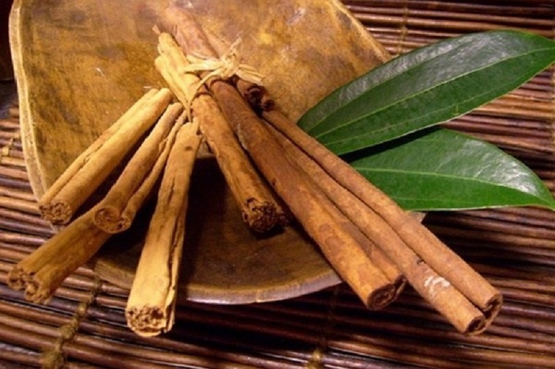 Quế – Bí Quyết Giúp Ngủ Ngon Tự Nhiên & An Toàn